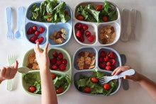 Load image into Gallery viewer, Re-Play 4pk - 7.37" Divided Plates with Deep Sides for Baby, Toddler & Child Feeding in Ice Blue, Leaf, Sand & Grey | BPA Free | Made in USA from Eco Friendly Recycled Milk Jugs | (ECO 4pk)
