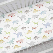 Load image into Gallery viewer, Carousel Designs Watercolor Dinosaurs Crib Sheet - Organic 100% Cotton Fitted Crib Sheet - Made in The USA - United States of Made