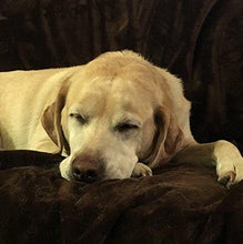 Load image into Gallery viewer, Mambe 100% Waterproof Silky Soft Throw for Dogs, Cats, and People (Large 60"x 84", Chocolate-Cappuccino) Made in The USA - United States of Made
